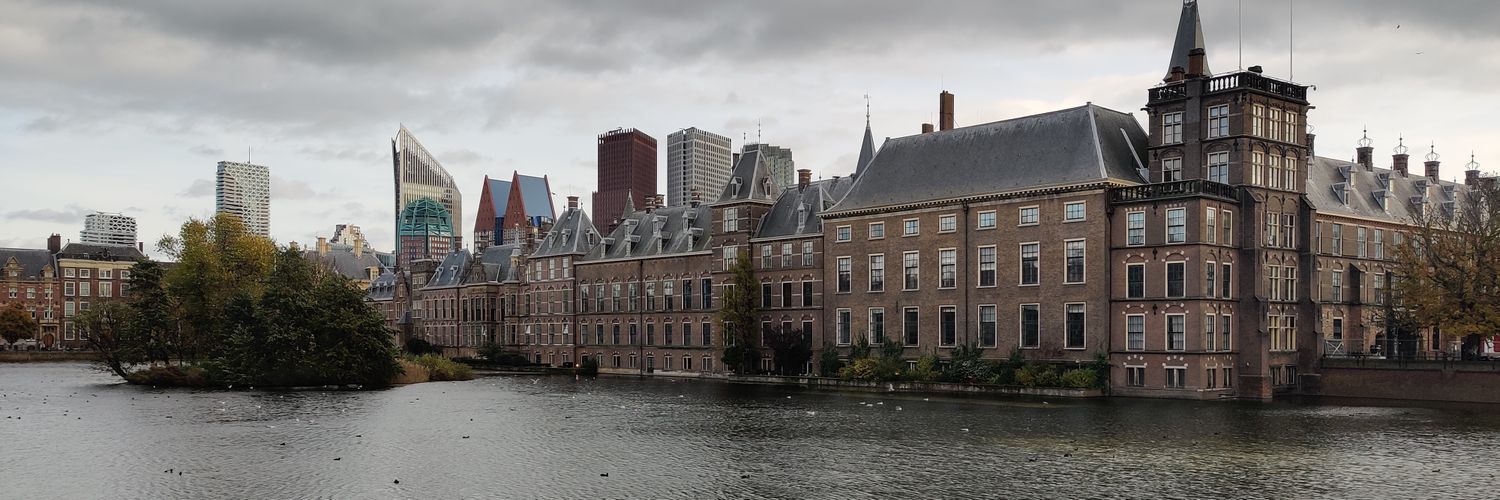 Michel banner