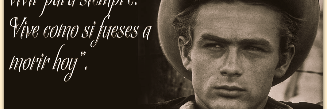 LSoimer's profile banner image