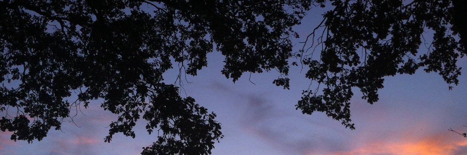 immexvita's profile banner image