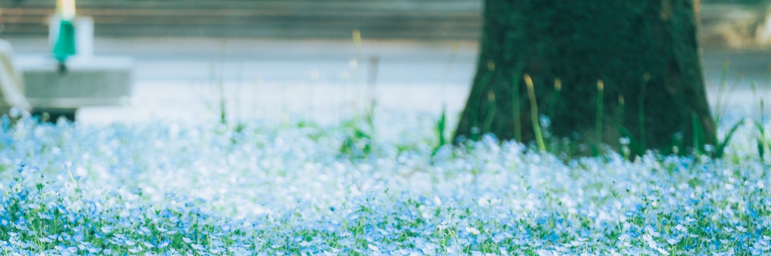 とある歌い手のカメラロール banner