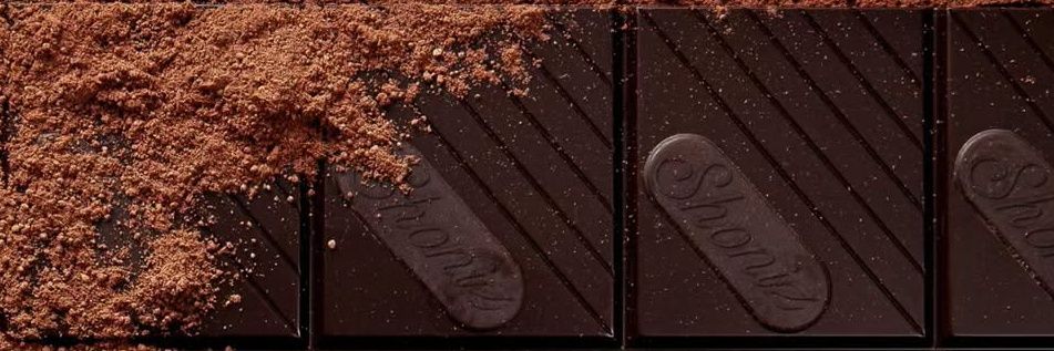 Shoniz | شونیز banner