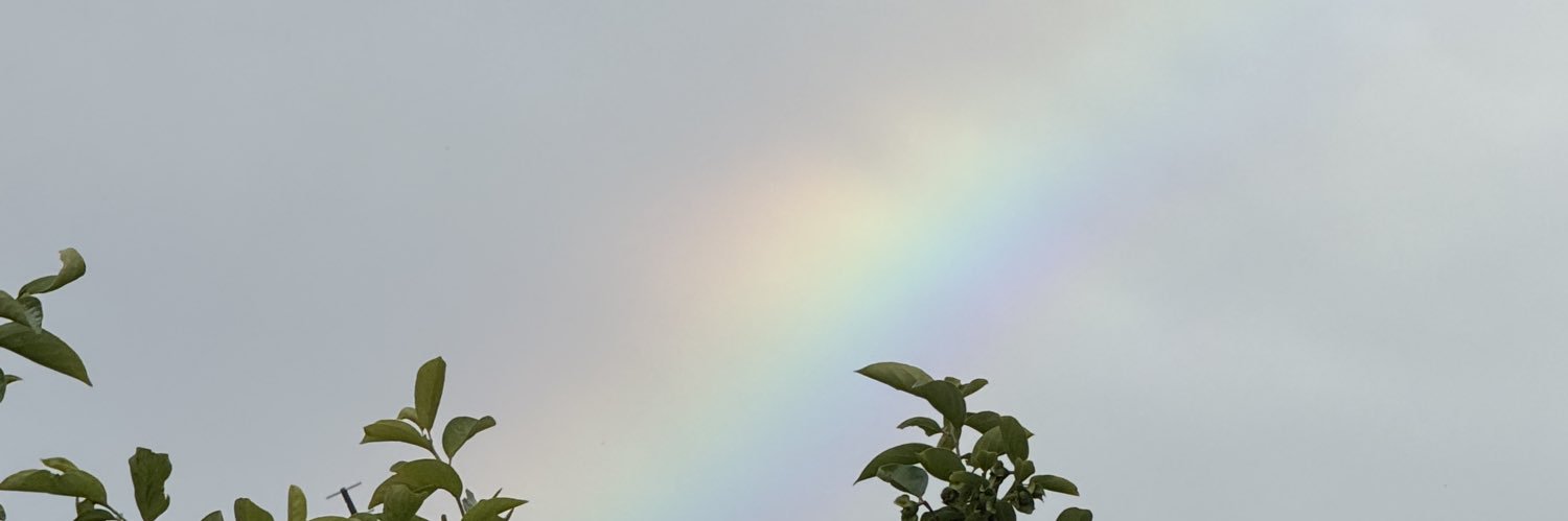 ななこ banner