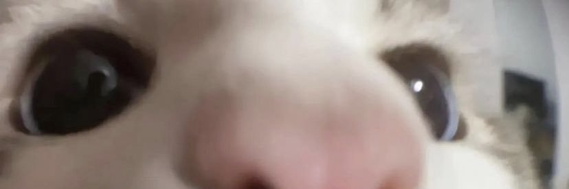 yyaelt's profile banner image