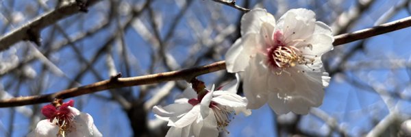 cat_G_R Profile Banner