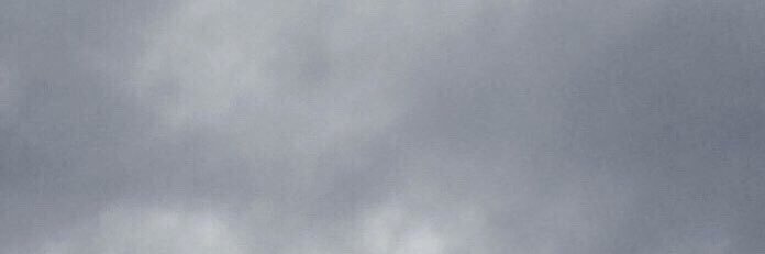 svenja banner