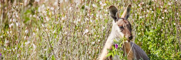 ewster Profile Banner