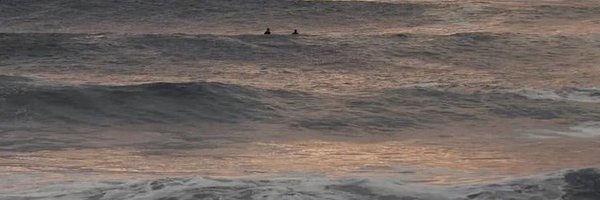 JenSeeligUT Profile Banner