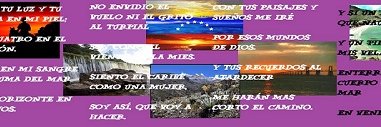 cecipetare's profile banner image