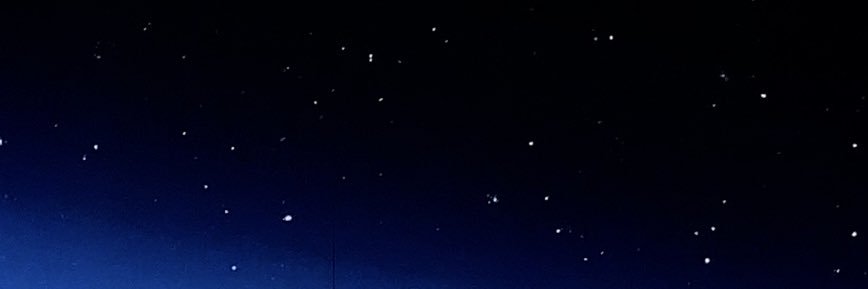🪻 banner