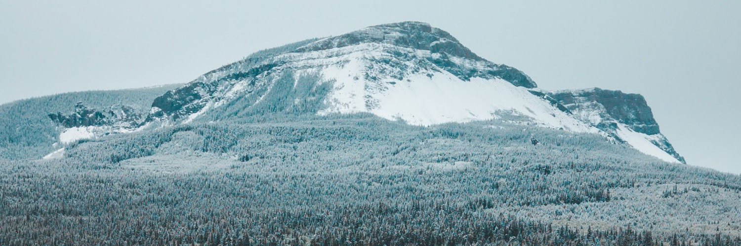Zero_Entropyy's profile banner image