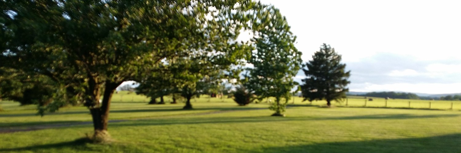 SoulCages's profile banner image