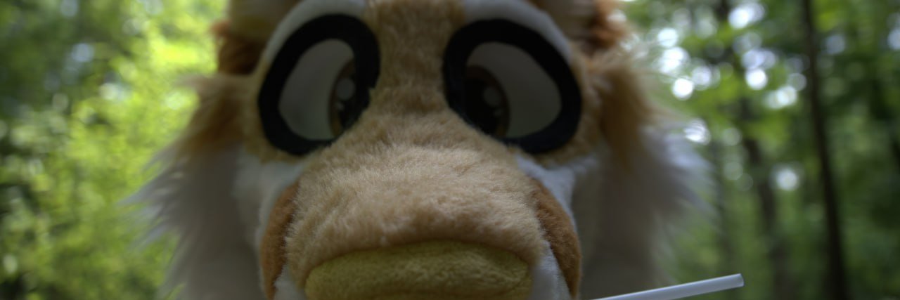 Horatio Fox 🔜 FTO, FURPOC, MFF banner