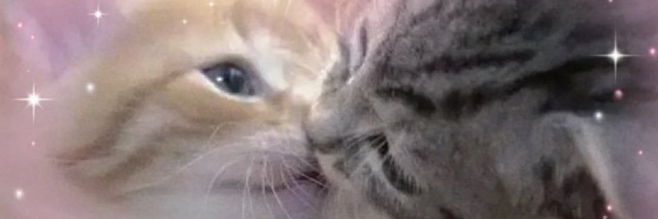 missparamountjj's profile banner image