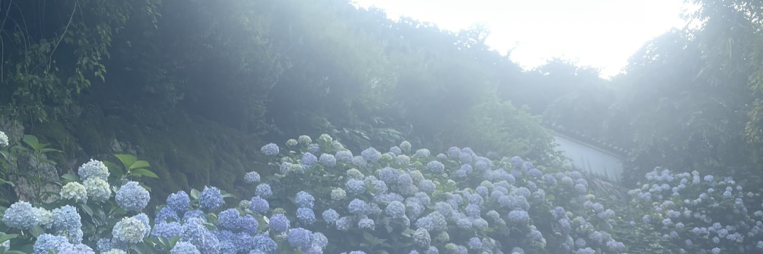 芽依ちゃん。 banner