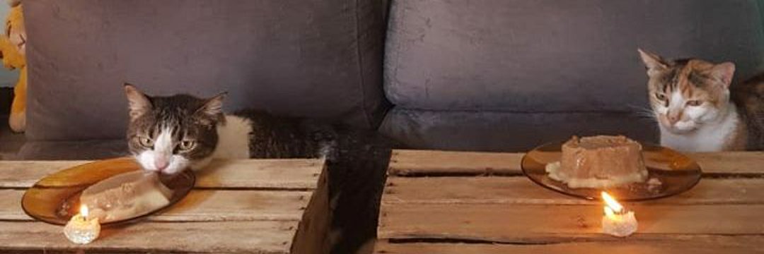 PhAnhh2407's profile banner image