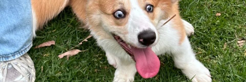 JosimarNog's profile banner image