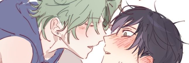 #1 fan of greenies banner