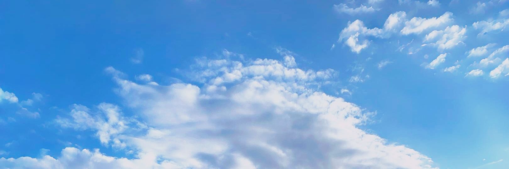 🐬 banner