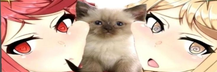 𝓡. banner