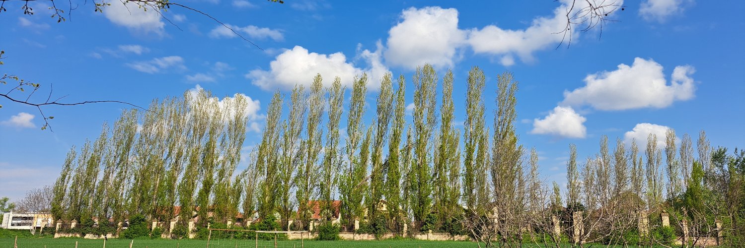 ivanleskovac's profile banner image