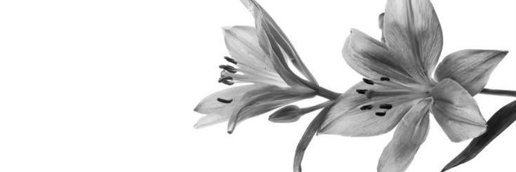 mm banner