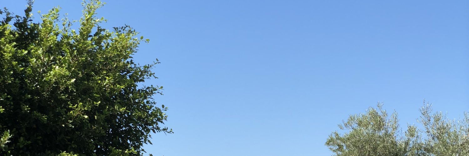 Vegaceuta's profile banner image