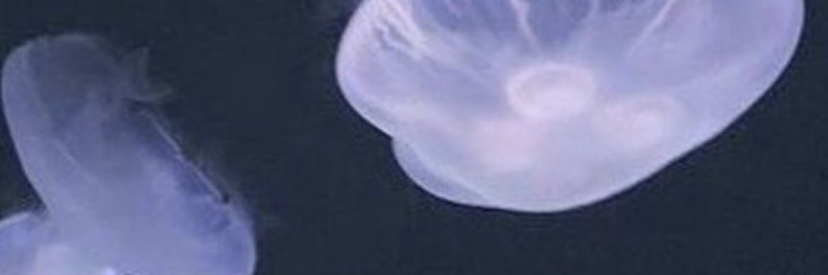 8f7cgw's profile banner image