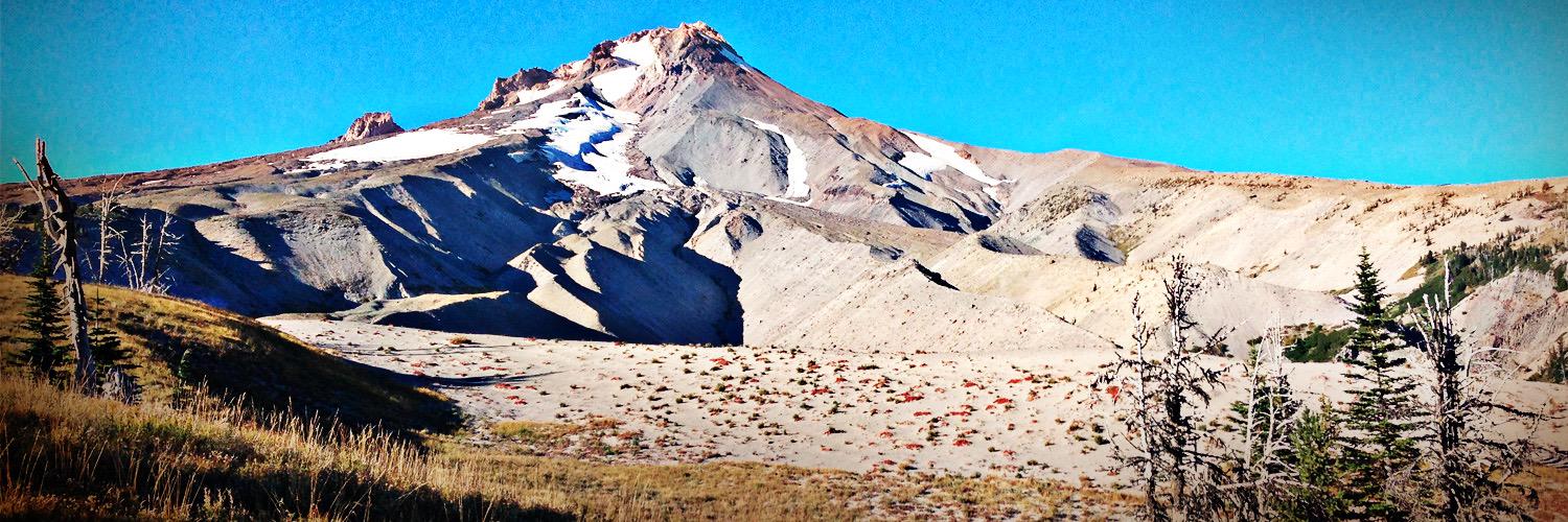 FieldworksSCo's profile banner image