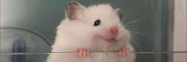 OurAnswerSsival Profile Banner