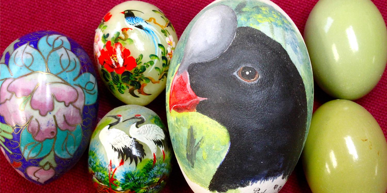 BirdTrivia's profile banner image