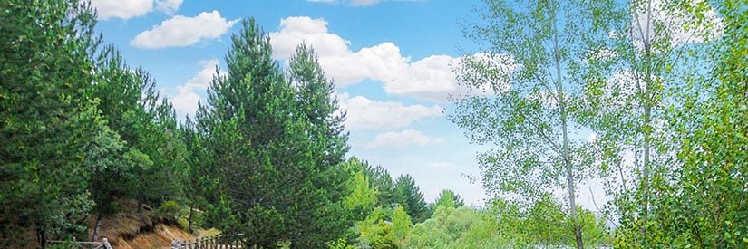 Remzi Tuzkıran banner