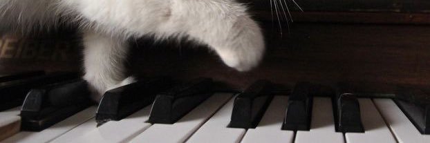 N0_oolc2cat's profile banner image