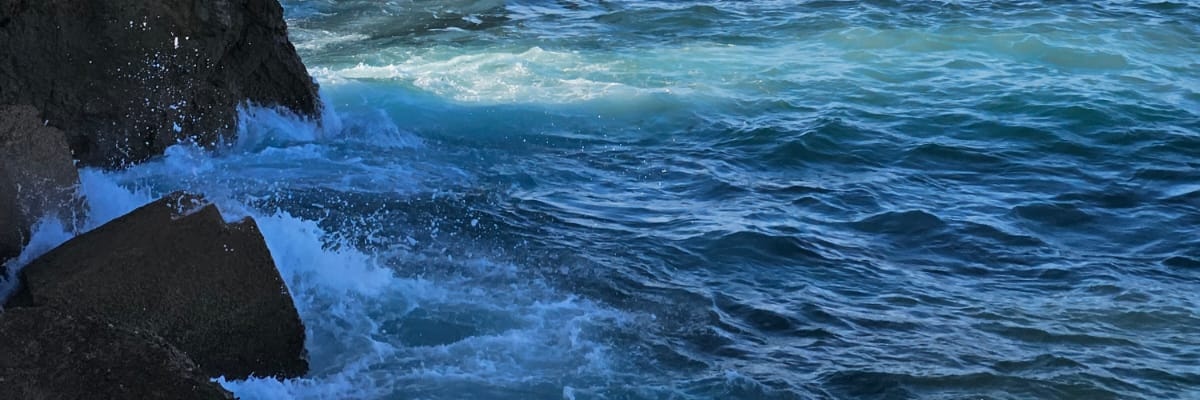 Carlos_Manzanoo's profile banner image