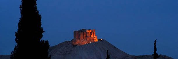 Palmyra pinterest banner