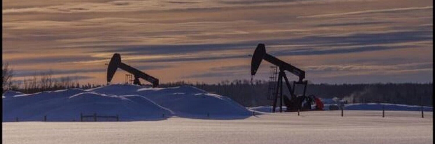 Rosa 🇨🇦🇮🇹🐀 banner