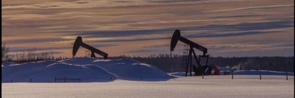 Rosa__AB Profile Banner