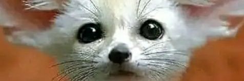 Jofrymichael's profile banner image