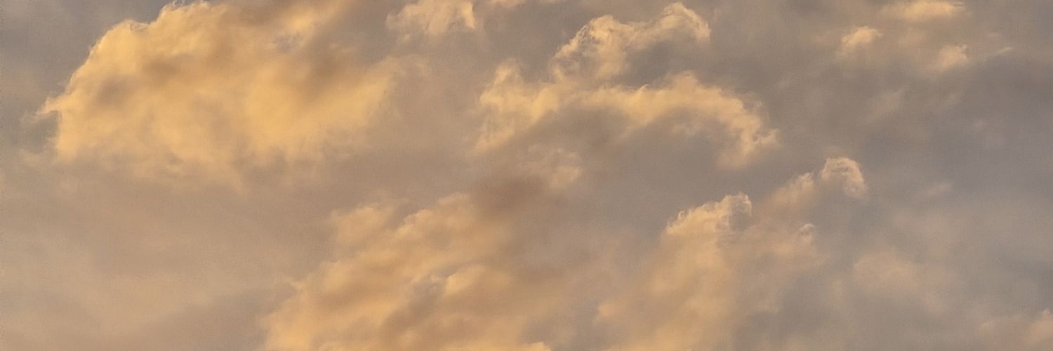 wisperest's profile banner image