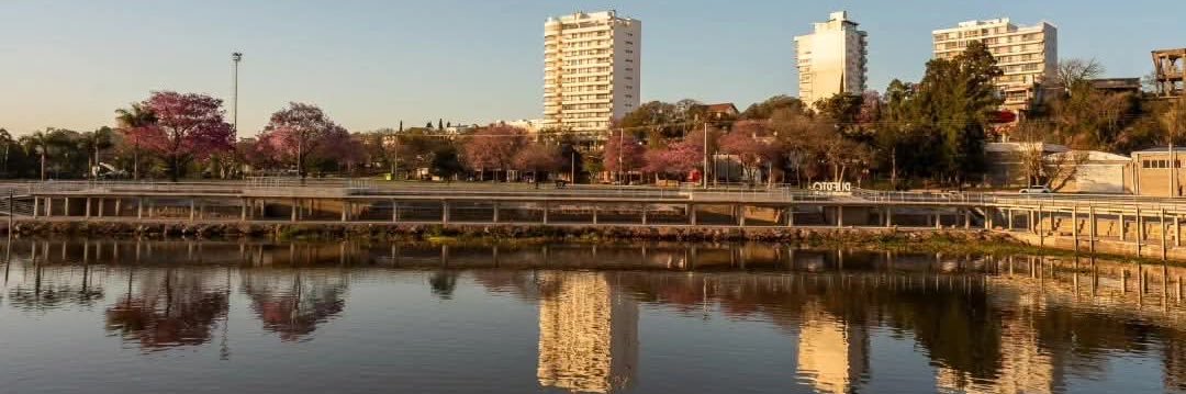 Alejandrina Borgatta banner