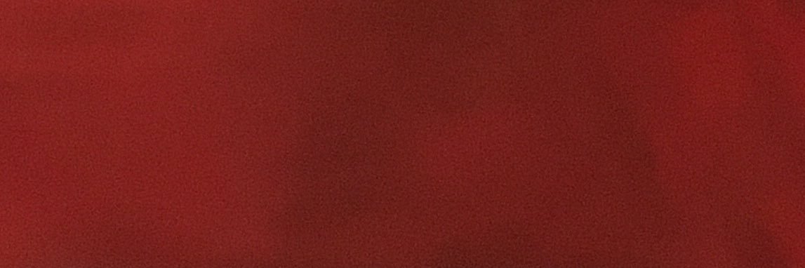 Leo banner