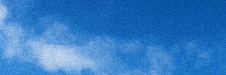 alidaswartt's profile banner image