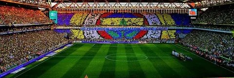 Fenerbahçeli banner