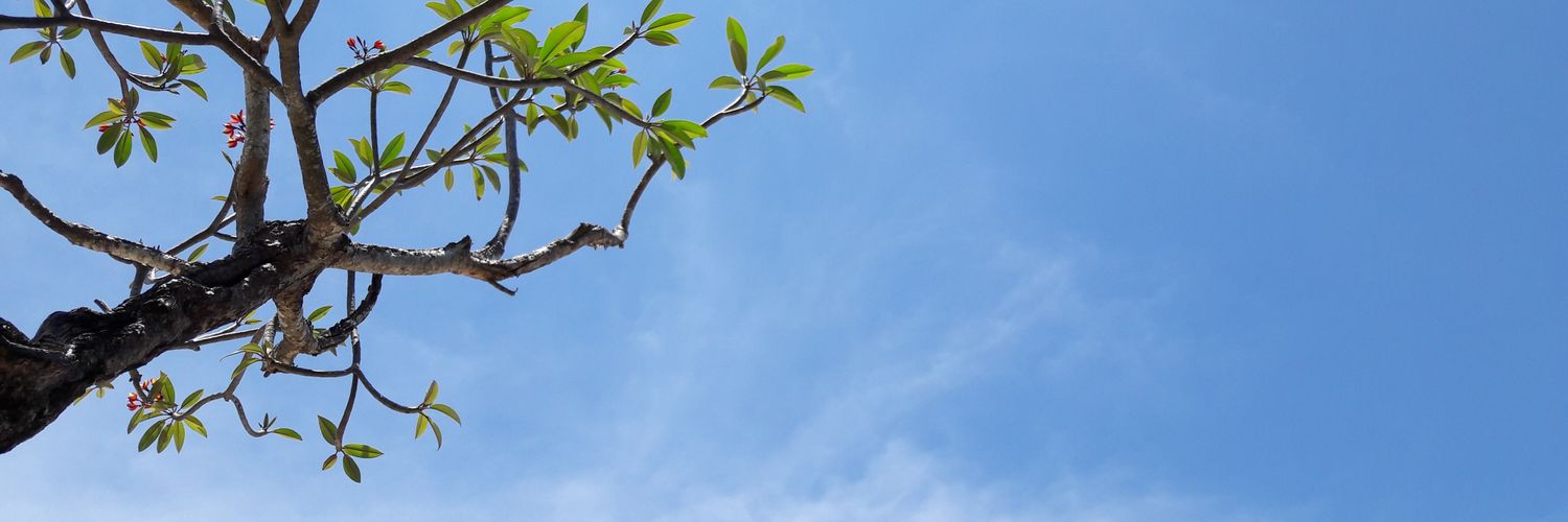 agungadv's profile banner image