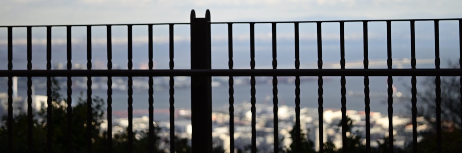 nayuta_nerf's profile banner image