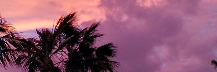 beca_Gil's profile banner image