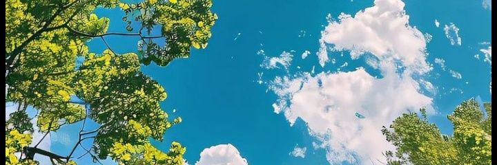 LerysonM's profile banner image