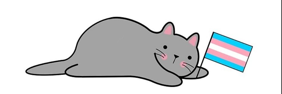 following_trans's profile banner image