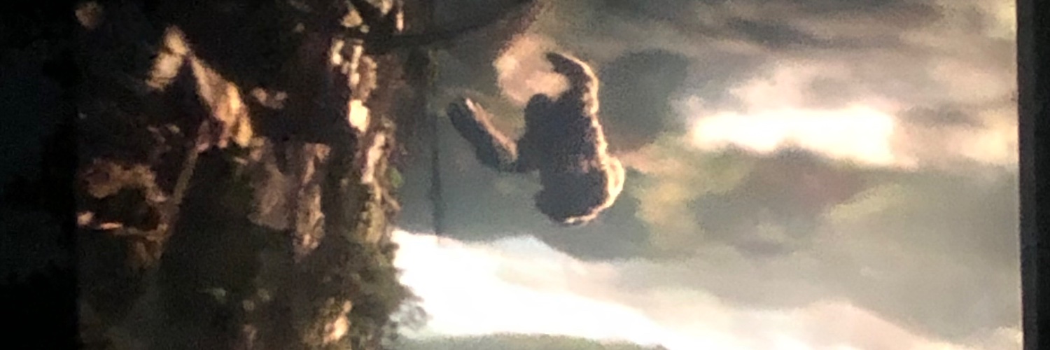 scam1216's profile banner image
