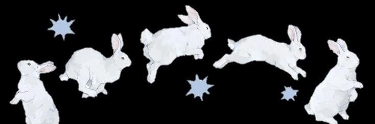 saph/donnie 🐰 banner