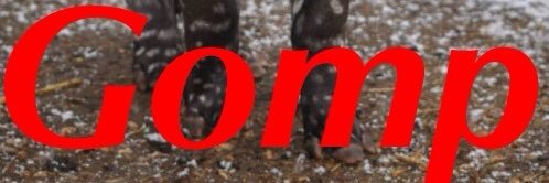 OneViolence's profile banner image